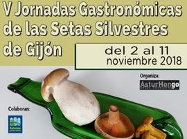 Setes salvaxes al asalto de Gijón