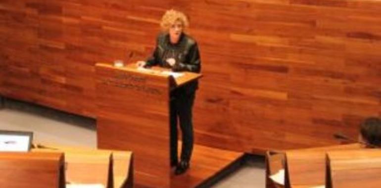 El PP exige al Principado toda la información sobre el fraude de los cursos de UGT