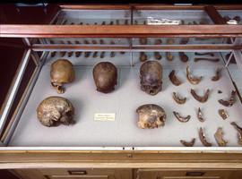 Los nativos americanos adqurieron su parcela hace más de 14.000 años