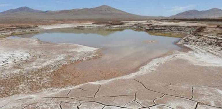 Las primeras lluvias en siglos en el corazón del desierto de Atacama devastan su vida microbiana