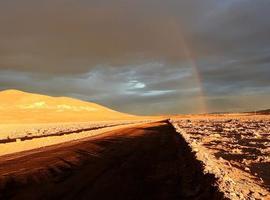 La lluvia en el desierto de Atacama preludia la extinción microbiana