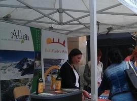 Tres nuevas fiestas de interés regional en Gijón, Oviedo y Ribadesella