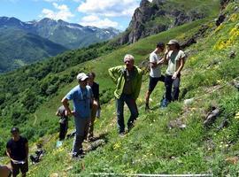 Protagonismo asturiano en la BDA de vegetación más completa del mundo