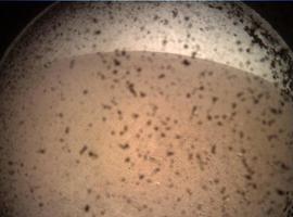 InSight Lander de la NASA envía su primera imagen de Marte