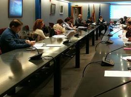 Ley asturiana protegerá el apoyo de los perros de asistencia a personas con discapacidad 