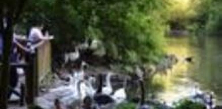 Visitas guiadas para conocer el gijonés parque de Isabel La Católica
