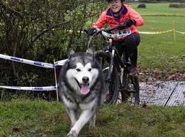 Récord de participación en el IV Mushing Los Bufones de Pría 