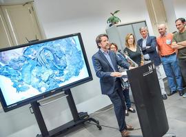 Revelan descubrimiento de dos pequeños guanches momificados en Tenerife