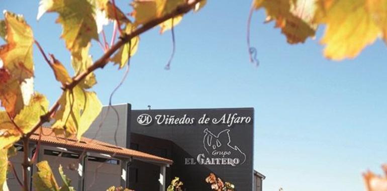 El Grupo El Gaitero compra Viñedos Alfaro