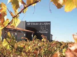 El Grupo El Gaitero compra Viñedos Alfaro
