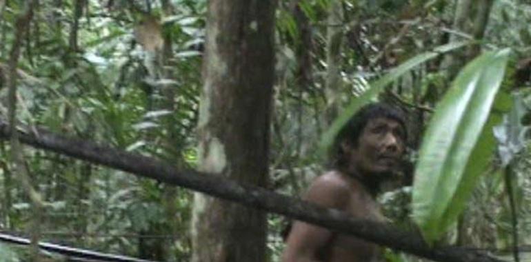 Survival pide protección policial para pueblo indígena no contactado