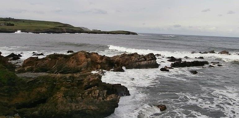 Coordinadora Ecoloxista d’Asturies aplaude la veda del oriciu