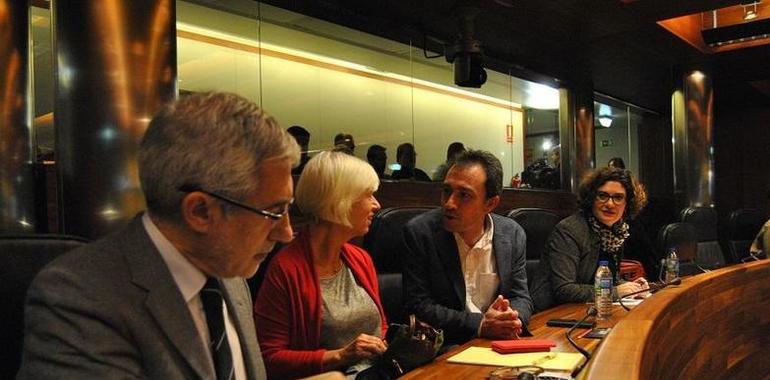 Llamazares califica el presupuesto de necesario y posible para Asturias