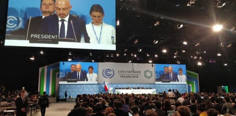 COP24: Greenpeace ve insuficientes los compromisos 