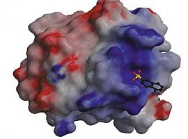 El CSIC consigue un medicamento huérfano para la Telangiectasia Hemorrágica Hereditaria