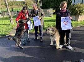 Oviedo impulsa una campaña de concienciación para no regalar animales por Navidad