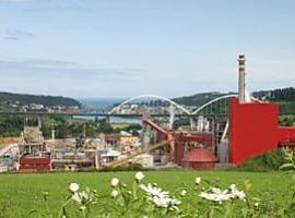 Paro indefinido de suministros a ENCE Navia