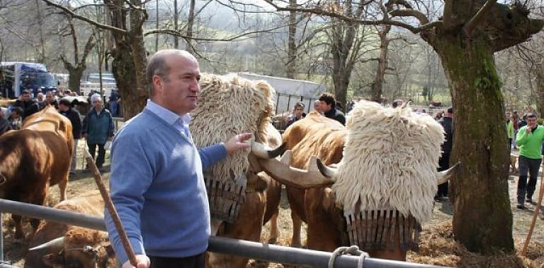 El PP pasará el lobo de protegido a peligroso permitiendo su exterminio