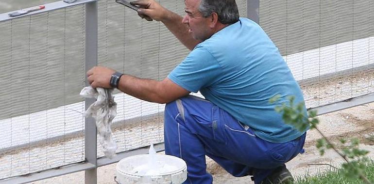 Asturias cierra 2018 con el paro más bajo para un mes de diciembre desde hace una década