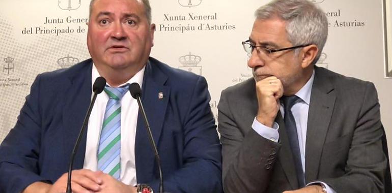 Arguelles (IU) pide calma en la crisis con Llamazares