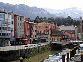 El ocle causa molestias y malos olores en la ría de Llanes