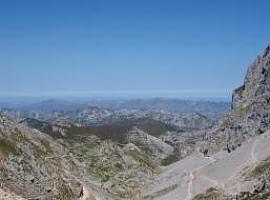 UniOvi participa en el descubrimiento de fósiles marinos de 345 millones de años en Picos de Europa