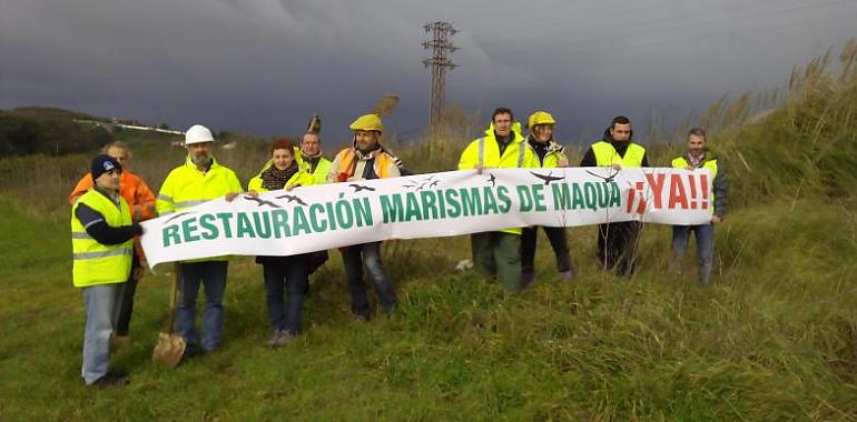 La Plataforma por la Recuperación de las Marismas de Maqua reclama la restauración urgente del humedal 