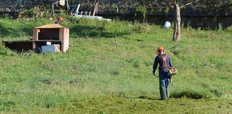 Cerca de 1.000 trabajadores agrarios retrasarán el pago a la Seguridad Social en periodos de inactividad