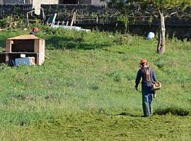 Cerca de 1.000 trabajadores agrarios retrasarán el pago a la Seguridad Social en periodos de inactividad
