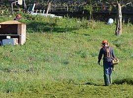 Asturias cerró enero con 75.781 parados, el número más bajo para este mes desde 2009