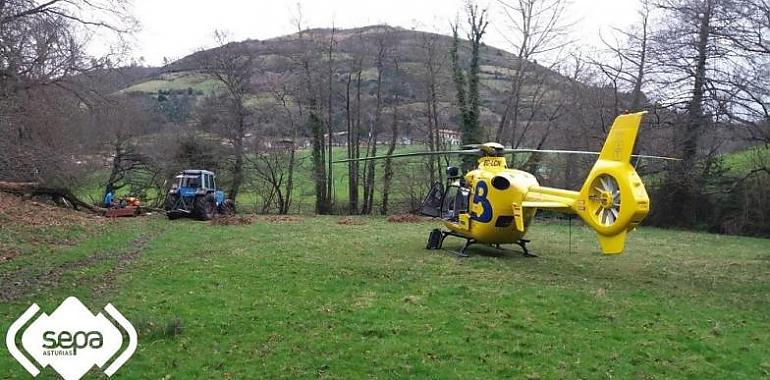 Rescatado un leñador herido al caer un árbol en Sariego