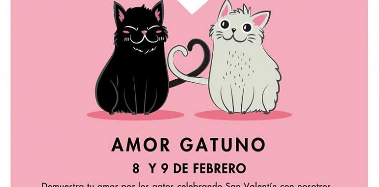 Cómo los gatos nos conquistaron y se convirtieron en los amos del mundo