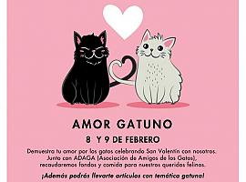 Cómo los gatos nos conquistaron y se convirtieron en los amos del mundo