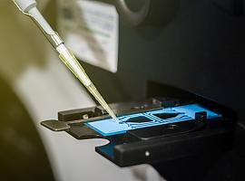 Aumenta un 9% el riesgo de los hombres de precisar de tratamientos de fertilidad para ser padres