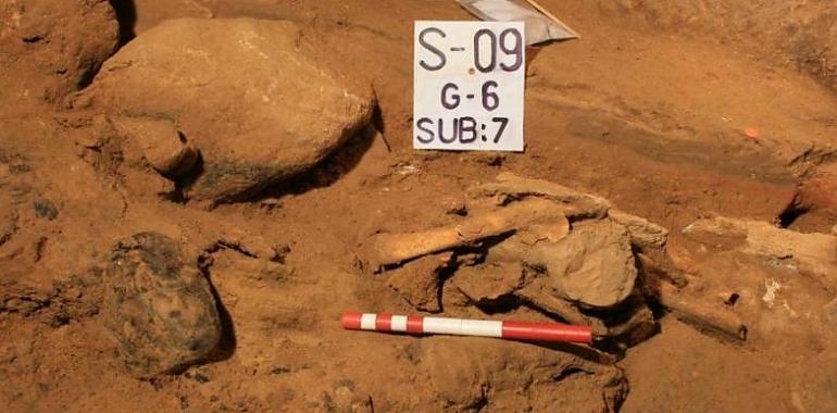 Y la endogamia acabó con los neandertales sabios de El Sidrón