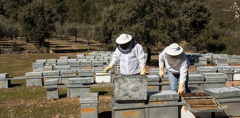 Los apicultores lanzan un grito de auxilio 