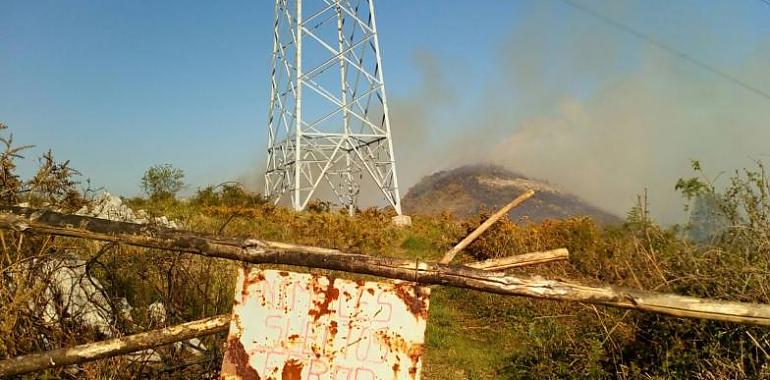 Ecologistas piden a la UE inspecciones para que zonas quemadas no reciban ayudas PAC
