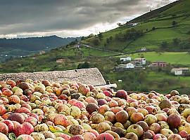 Desarrollo Rural destinó 3,7 millones a proyectos del grupo de acción local Comarca de la Sidra