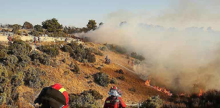 Salas y Llanes serán los concejos prioritarios para la actuación contra los incendios