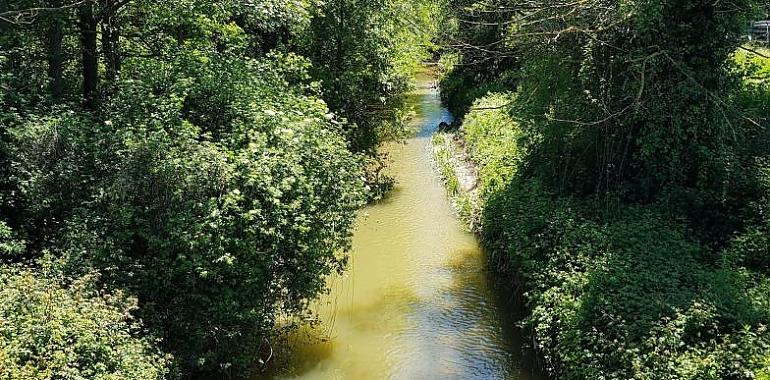 El Ayuntamiento de Gijón sancionado por vertidos al río Pinzales