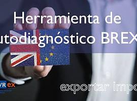 Brexit: Asturex ayuda al diagnóstico de las empresas con intereses en el mercado británico