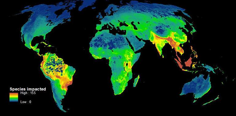 Así destruímos los humanos la biodiversidad mundial
