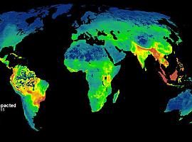 Así destruímos los humanos la biodiversidad mundial