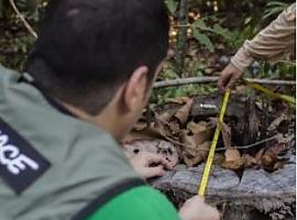 Greenpeace recuerda la urgencia de defender la Amazonía ante las amenazas de Bolsonaro