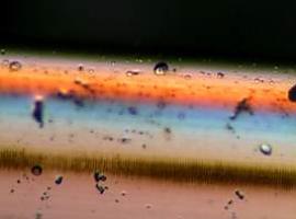Desarrollan un biosensor que detecta contaminantes de bajo peso molecular a muy bajas concentraciones
