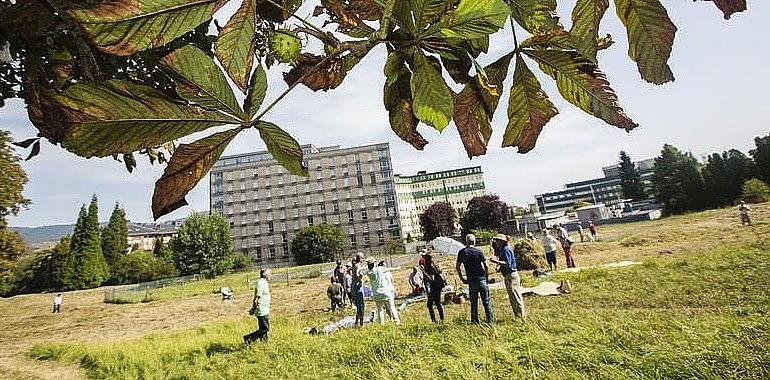 Truébano de SOS Viejo Hospital: Llueva, nieve o haga sol