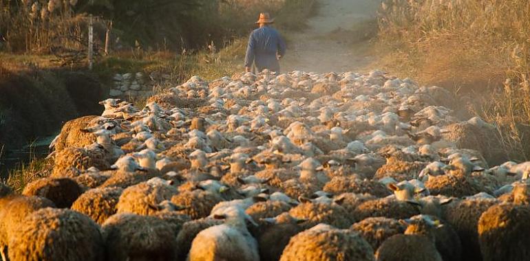 UPA reclama una “revolución global” para proteger e impulsar la agricultura y ganadería familiar