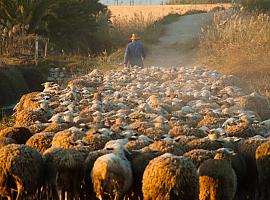 UPA reclama una “revolución global” para proteger e impulsar la agricultura y ganadería familiar