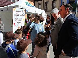 Los moscones ya separan 16.000 kilos al mes de materia orgánica para reciclar en Cogersa