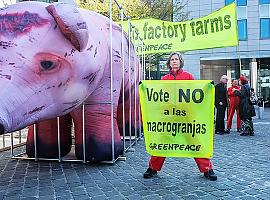 Greenpeace lleva un cerdo gigante a Bruselas para exigir el fin de las macrogranjas